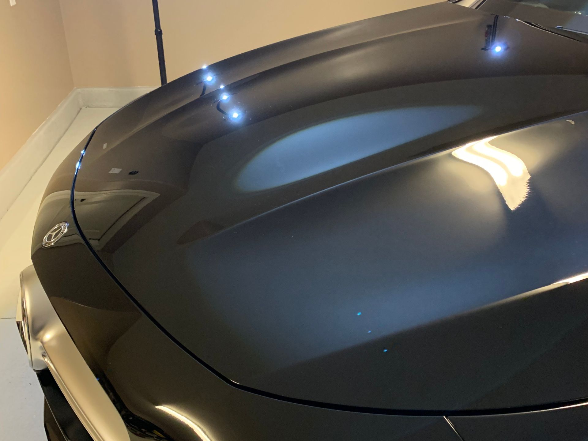 Does ceramic coating protect against bird droppings? Love's Auto Detail